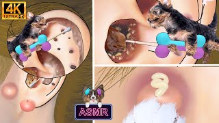 [ASMR] Blackhead, earwax, sebum, ear cleaning animation asmr / 블랙헤드, 귀지, 피지, 귀청소 애니메이션 asmr/