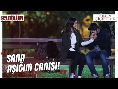 Meral’in Mert’e vedası! - Kırgın Çiçekler 95.Bölüm