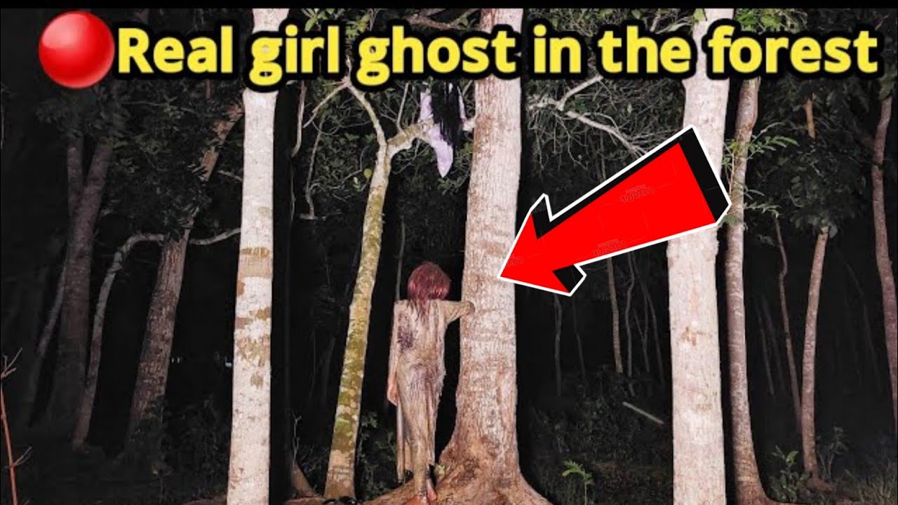 12-visiting-most-haunted-jungal-100