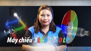 Sự Khác Biệt Giữa Công Nghệ Máy Chiếu 3LCD Và DLP