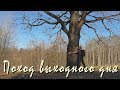 ПВД. Подмосковье. Весенний лес. Суп на костре.