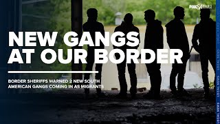 Yami Virgin Investigates: New Gangs at our Border
