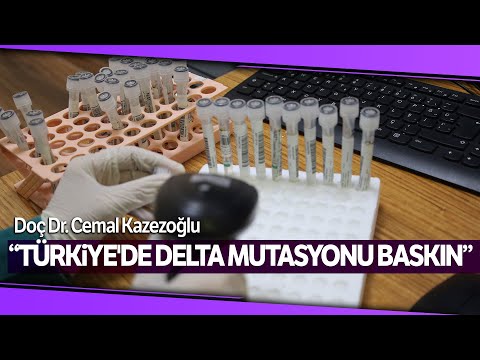 Doç Dr. Cemal Kazezoğlu'ndan Omicron ve Korona Virüsle İlgili Önemli Açıklamalar