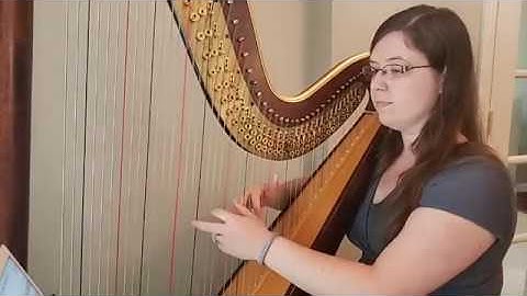 You Are My All In All - Harp Cover