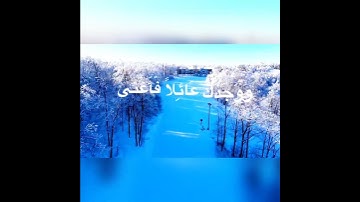 سورة الضحى _ تلاوة خاشعة للقارئ #ماهر_المعيقلي #القرآن_الكريم