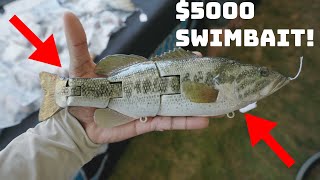 This Swimbait Meet Up In Texas Was Insane! Swimbait Universe: The Gathering!