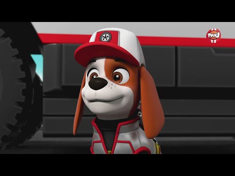 Paw Patrol, la Pat'Patrouille - Mission Camion : Le chalet