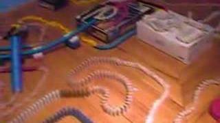 Giant Domino Chain 5