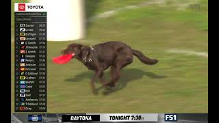 Dog interrupts NASCAR trucks qualifying