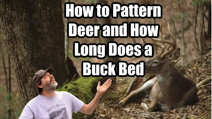 Patterning Deer and How Long Does a Buck Lay in Hi...