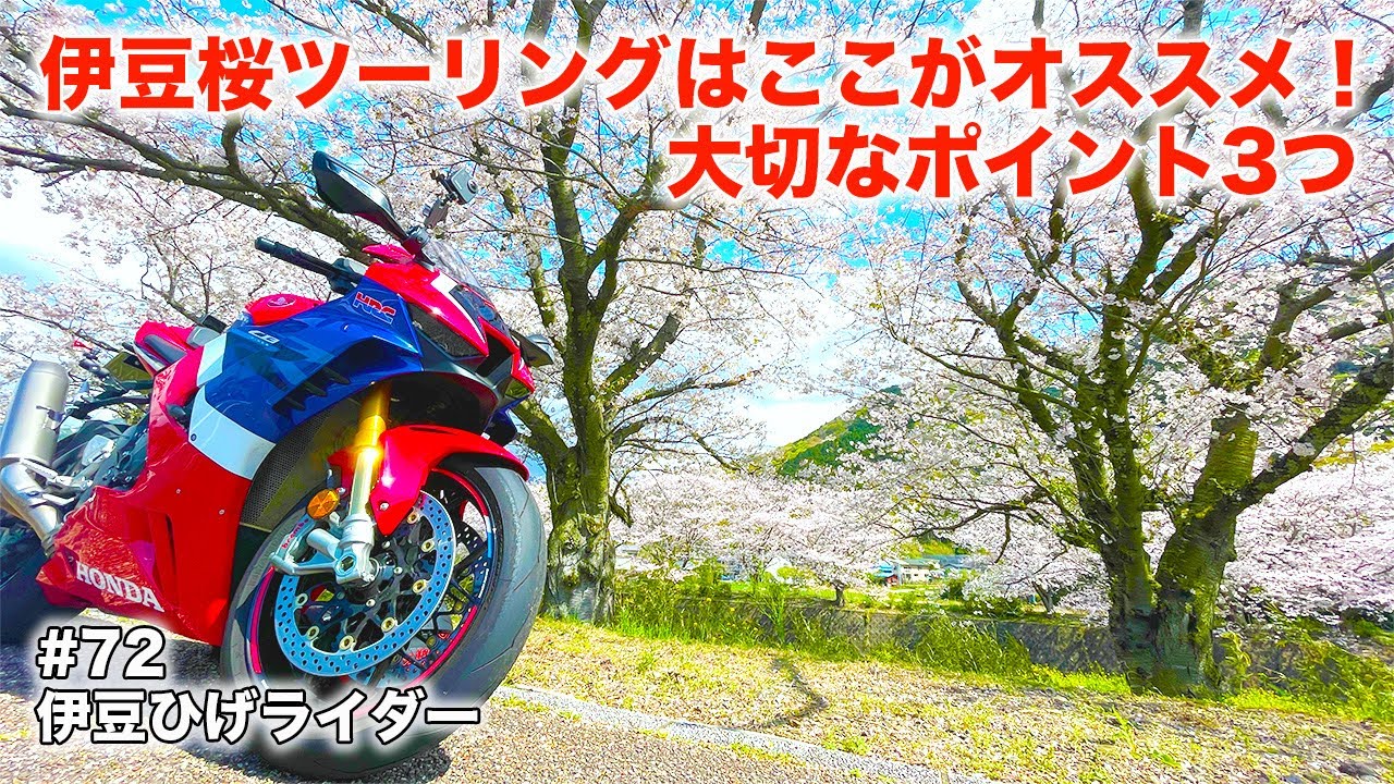 Izu Sakura Touring 2023 - YouTube