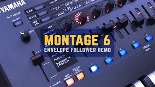 Montage 6 Envelope Follower Demo