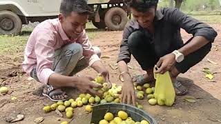 CHALLENGE 100 MANGO EAT ONE HOUR //ONE HOUR EAT 100 MANGO//MANGO EAT CHALLANGE@MANGO