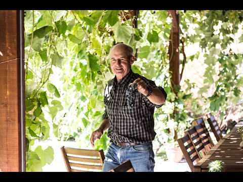 Characters of Oliver Osoyoos Wine Country: Meet Lanny Martiniuk, owner of Stoneboat Vineyards