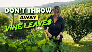 Don’t Throw These Away | Vine Leaves