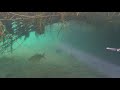 !!!AGUAS CRISTALINAS PESCA CON ARPON VEAN LA VIDA EN ESTOS RIOS EXCELENTES TOMAS Spearfishing Mexico