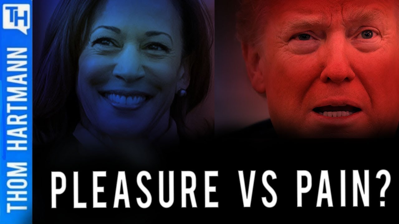 Why Fear Mongering Trump is Scared of Kamala Harris's Campaign