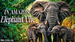 Elephants Documentary 8K Ultra HD – The Secret Life of Earth’s Giants