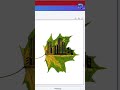 Creative Canva Design | Canva Short Tutorial | Canva Hacks | Canva Tricks| Viral Canva Design|