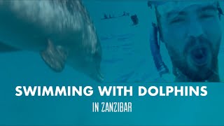 Swimming with Dolphins in Zanzibar 🇹🇿 - Our Mnemba Island Blue Safari snorkeling experience!