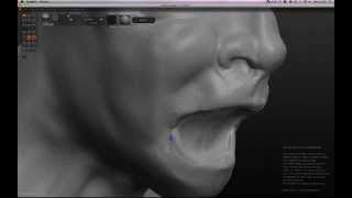 Face Sculptris Sculpt