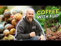 Ep 31 managing snail overpopulation in freshwater aquariums  coffee with flip aquarium podast