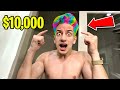 I DYED my HAIR RAINBOW for $10,000!