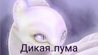 ❤Дневная Фурия и Беззубик❤ 