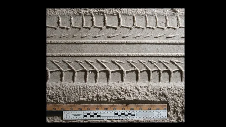 Tire Tread and Tire Track Evidence