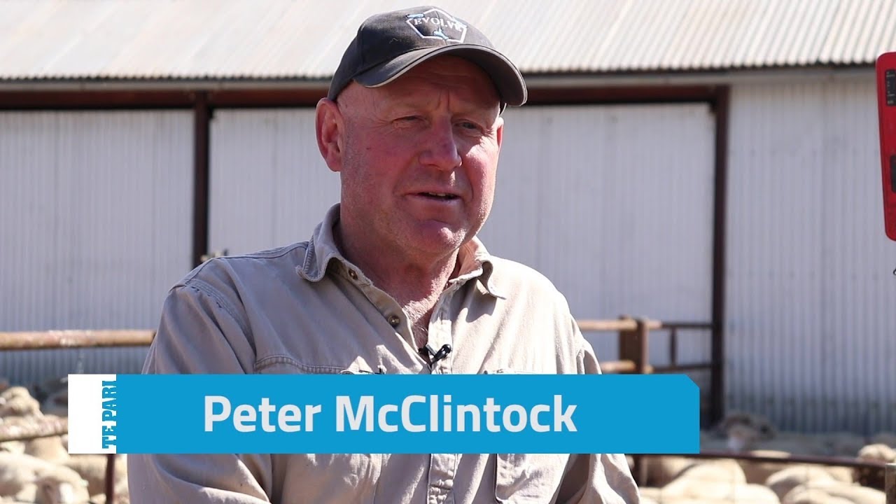 I'm now saving a third of my drench - Peter McClintock