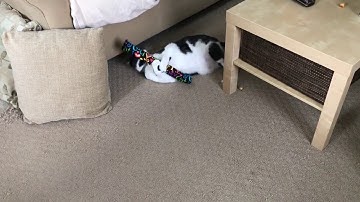 The Original KittyKickStix - 15" Catnip Kicker Toys