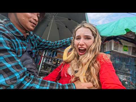 First Impressions Of Jakarta (this City Shocked Me)