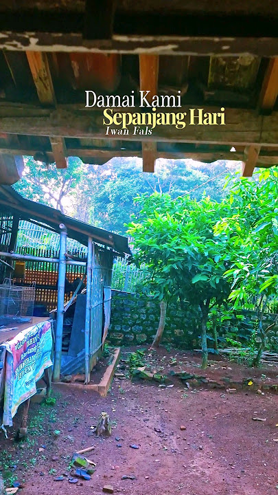 Iwan Fals - Damai Kami Sepanjang Hari #storywa #lagu #storysemangat #iwanfals #iwanfalsvideo