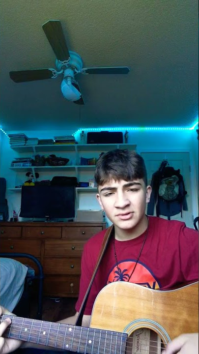Hey There Delilah (cover)