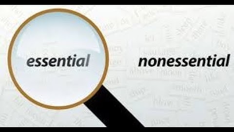 MC 305 Essential and nonessential clauses