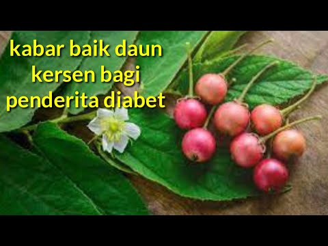 Cherry leaves are useful as an herbal medicine for diabetes mellitus