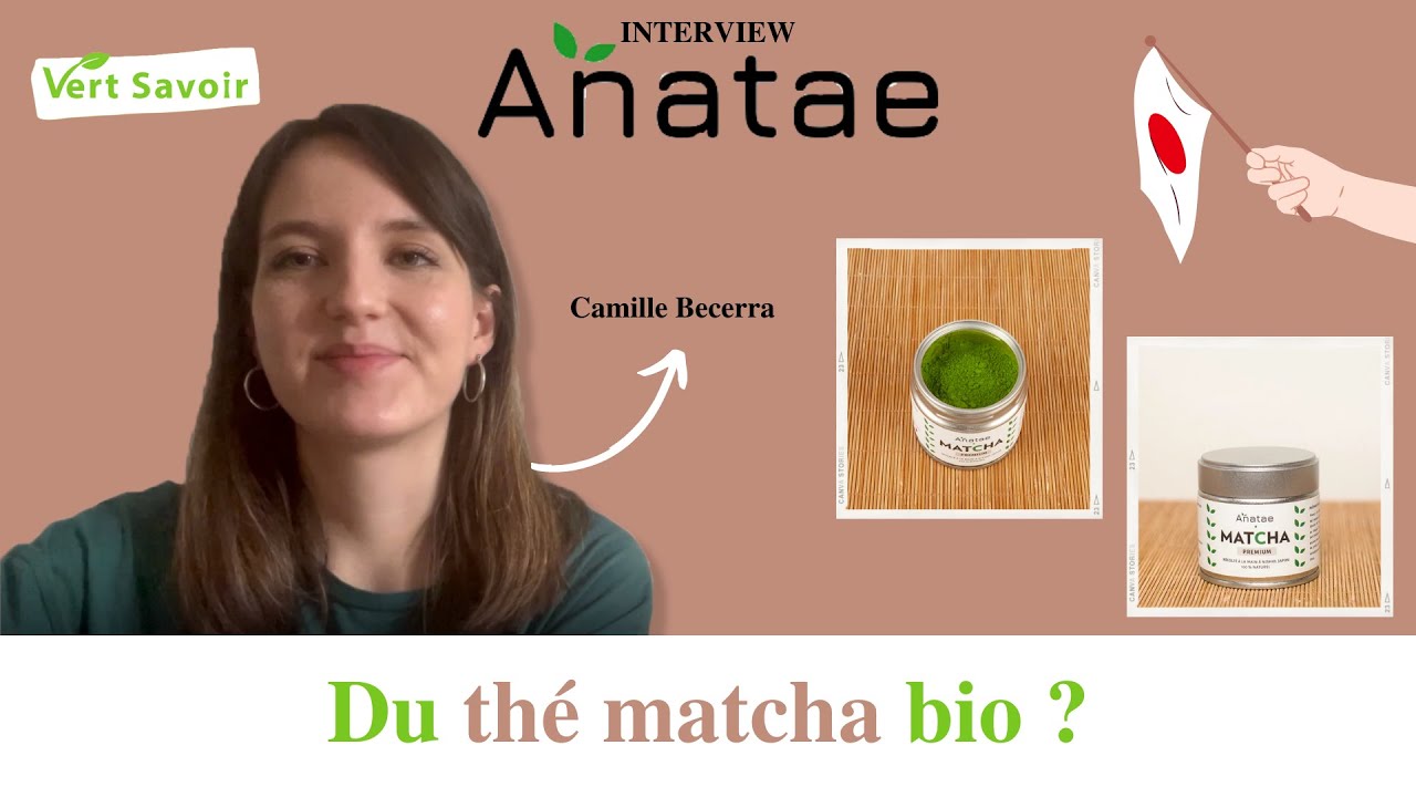 Anatae - Du thé matcha bio (sans amertume) 