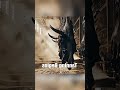 #shorts #shortvideo #reaction #viral #parati #novelshort