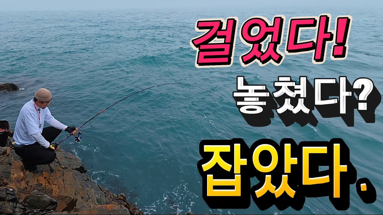 뜰채로 큰~고기 뜨는 요령