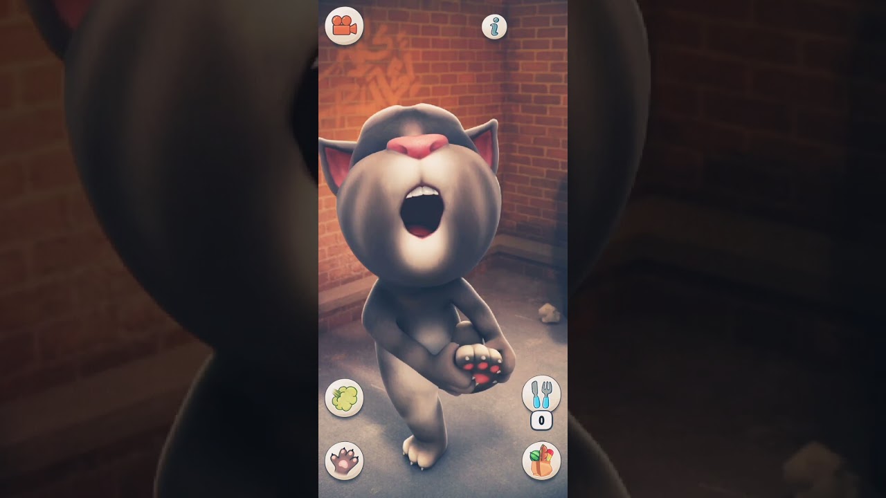 Talking Tom Cat Part 13733 #Shorts