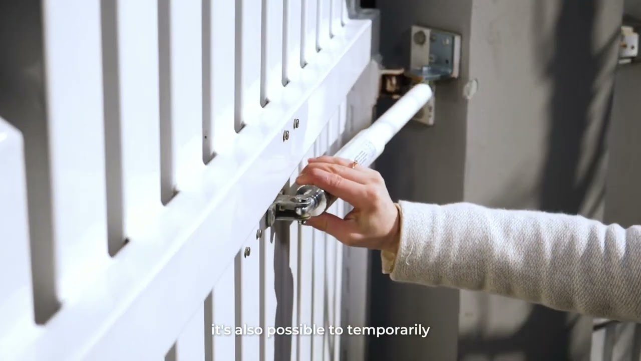 Dictator Door | Gate Closer