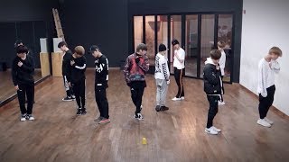 [Reupload] Wanna One (워너원) - Beautiful (뷰티풀) Performance Practice (Mirrored)