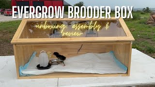 Sleek Modern Chick Brooder: EverGrow Chick Brooder Box Unboxing & Review