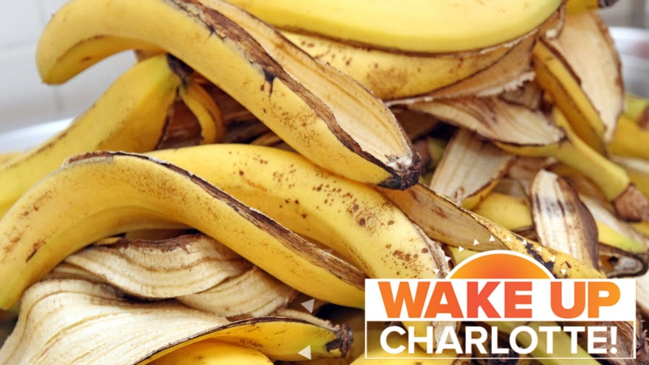 Don't throw away banana peels. They can help you lose weight! YouTube
