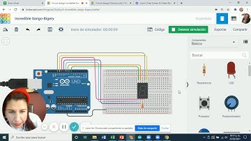 Display Ánodo y Cátodo Programado con Arduino