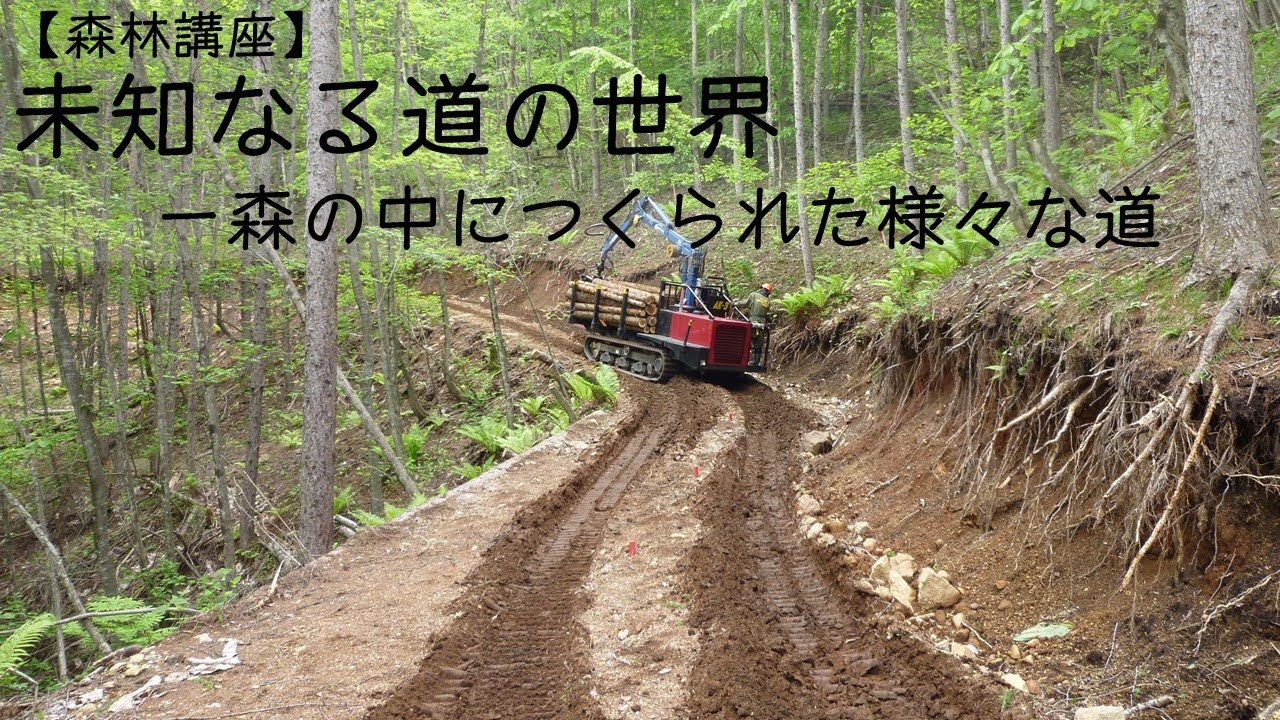 森林講座】未知なる道の世界－森の中につくられた様々な道 - YouTube