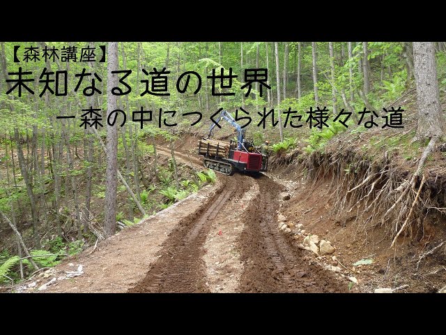 森林講座】未知なる道の世界－森の中につくられた様々な道 - YouTube
