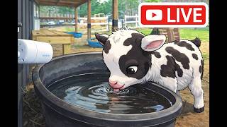 4K Baby Goat Water Trough Camera