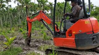 mini hitachi work ಇನ್ areka plant with hevey rin,, Kubota.