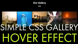 How to make a SIMPLE GALLERY using HTML and CSS ONLY (2020) - NO Javascript with hover effect